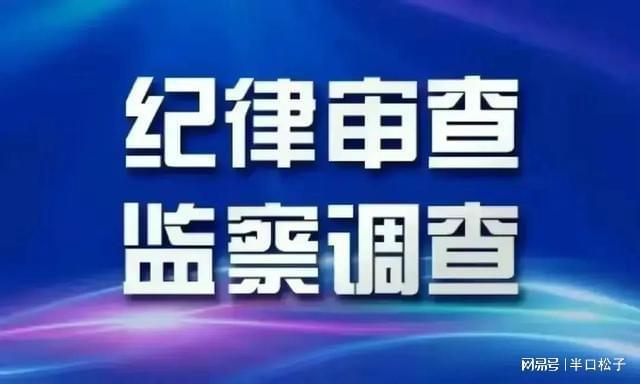 通城反腐深化治理，构建廉洁政治生态新篇章